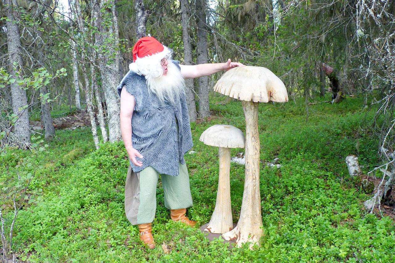 Elves Village Hotel Köngäs Kültér fotó